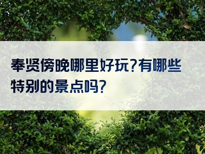 奉贤傍晚哪里好玩？有哪些特别的景点吗？