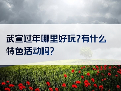 武宣过年哪里好玩？有什么特色活动吗？