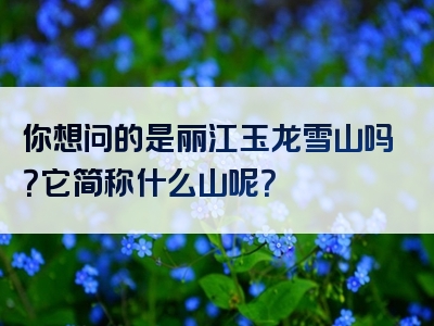 你想问的是丽江玉龙雪山吗？它简称什么山呢？