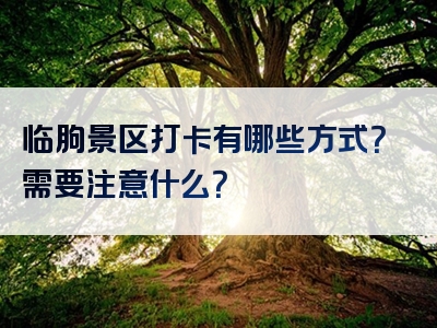 临朐景区打卡有哪些方式？需要注意什么？
