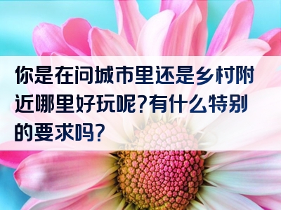 你是在问城市里还是乡村附近哪里好玩呢？有什么特别的要求吗？