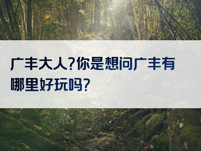 广丰大人？你是想问广丰有哪里好玩吗？