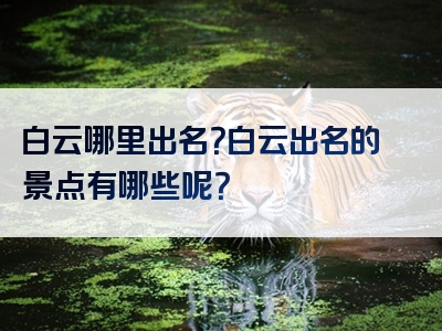 白云哪里出名？白云出名的景点有哪些呢？