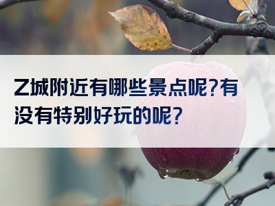 Z城附近有哪些景点呢？有没有特别好玩的呢？