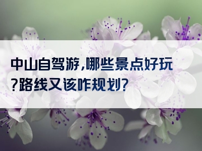 中山自驾游，哪些景点好玩？路线又该咋规划？