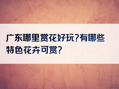 广东哪里赏花好玩？有哪些特色花卉可赏？
