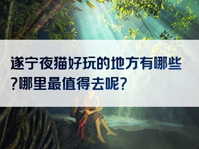 遂宁夜猫好玩的地方有哪些？哪里最值得去呢？