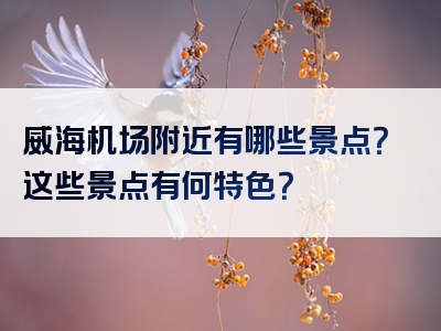 威海机场附近有哪些景点？这些景点有何特色？