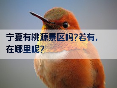 宁夏有桃源景区吗？若有，在哪里呢？