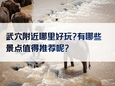 武穴附近哪里好玩？有哪些景点值得推荐呢？