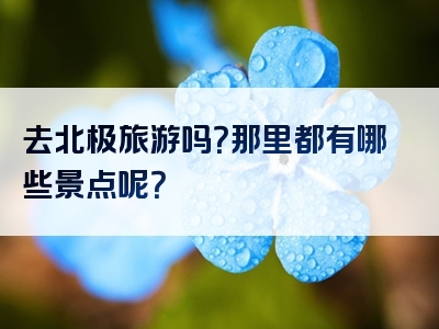 去北极旅游吗？那里都有哪些景点呢？