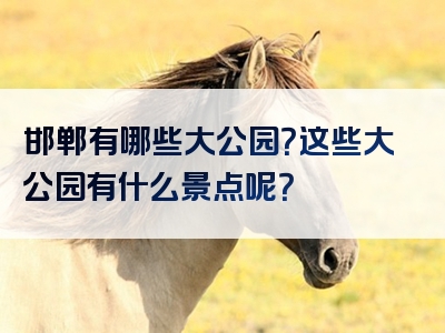 邯郸有哪些大公园？这些大公园有什么景点呢？