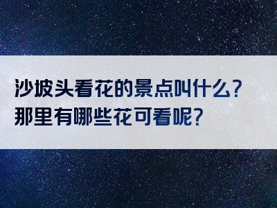 沙坡头看花的景点叫什么？那里有哪些花可看呢？