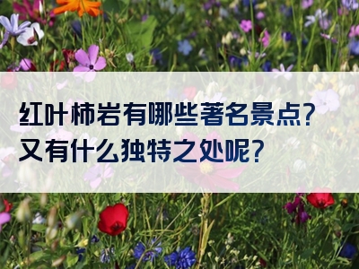 红叶柿岩有哪些著名景点？又有什么独特之处呢？