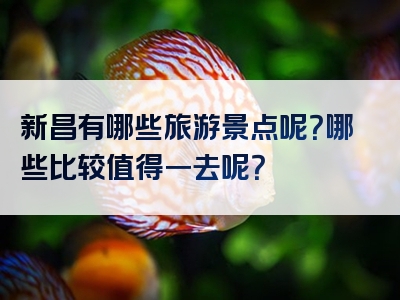 新昌有哪些旅游景点呢？哪些比较值得一去呢？
