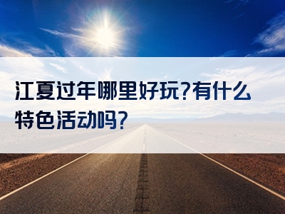江夏过年哪里好玩？有什么特色活动吗？