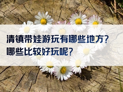清镇带娃游玩有哪些地方？哪些比较好玩呢？