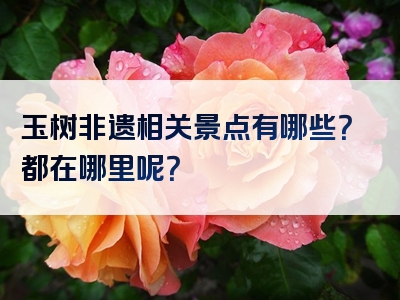 玉树非遗相关景点有哪些？都在哪里呢？