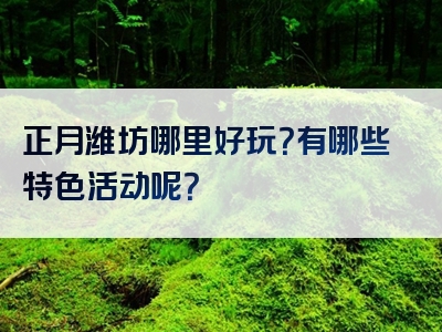 正月潍坊哪里好玩？有哪些特色活动呢？
