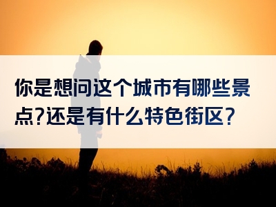 你是想问这个城市有哪些景点？还是有什么特色街区？