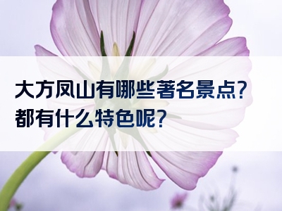 大方凤山有哪些著名景点？都有什么特色呢？