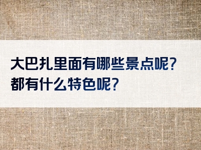 大巴扎里面有哪些景点呢？都有什么特色呢？
