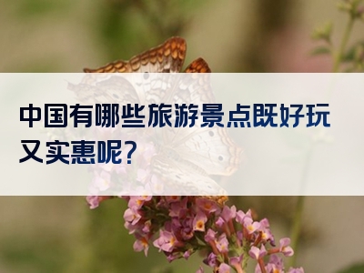 中国有哪些旅游景点既好玩又实惠呢？