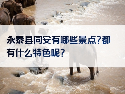 永泰县同安有哪些景点？都有什么特色呢？