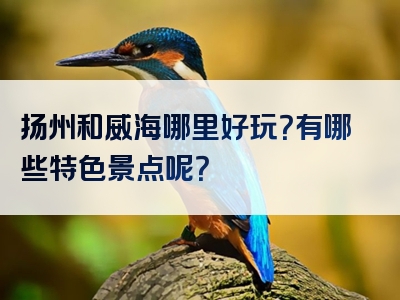扬州和威海哪里好玩？有哪些特色景点呢？