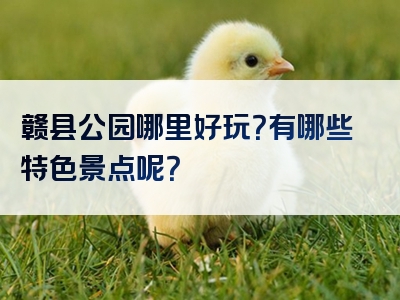 赣县公园哪里好玩？有哪些特色景点呢？