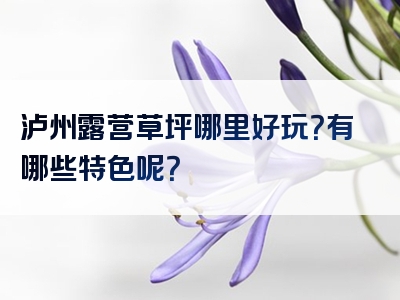 泸州露营草坪哪里好玩？有哪些特色呢？