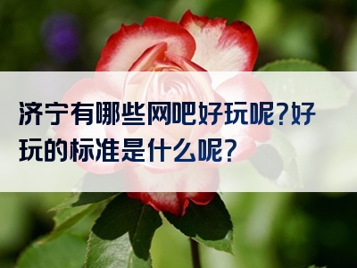 济宁有哪些网吧好玩呢？好玩的标准是什么呢？