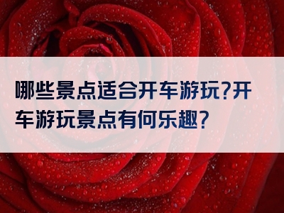 哪些景点适合开车游玩？开车游玩景点有何乐趣？