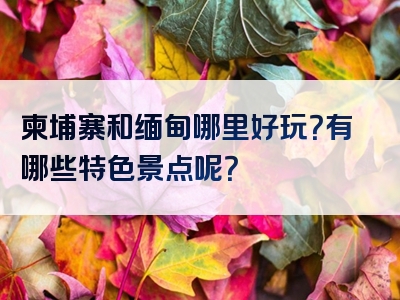柬埔寨和缅甸哪里好玩？有哪些特色景点呢？