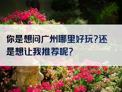 你是想问广州哪里好玩？还是想让我推荐呢？