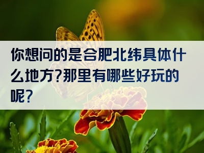 你想问的是合肥北纬具体什么地方？那里有哪些好玩的呢？