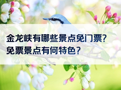 金龙峡有哪些景点免门票？免票景点有何特色？