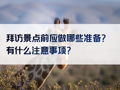 拜访景点前应做哪些准备？有什么注意事项？