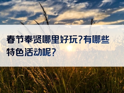 春节奉贤哪里好玩？有哪些特色活动呢？