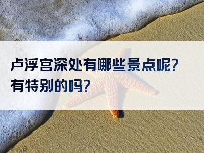 卢浮宫深处有哪些景点呢？有特别的吗？
