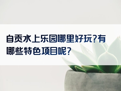 自贡水上乐园哪里好玩？有哪些特色项目呢？