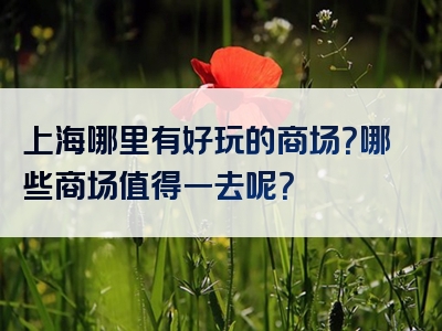 上海哪里有好玩的商场？哪些商场值得一去呢？
