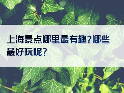 上海景点哪里最有趣？哪些最好玩呢？