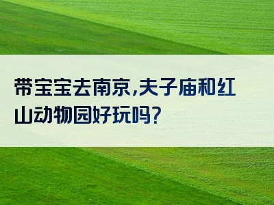 带宝宝去南京，夫子庙和红山动物园好玩吗？