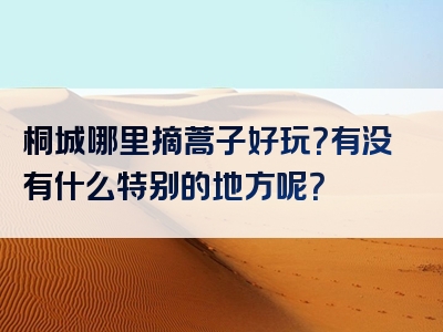 桐城哪里摘蒿子好玩？有没有什么特别的地方呢？