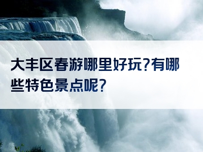 大丰区春游哪里好玩？有哪些特色景点呢？