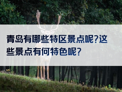 青岛有哪些特区景点呢？这些景点有何特色呢？