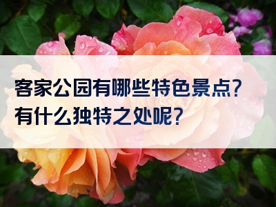 客家公园有哪些特色景点？有什么独特之处呢？