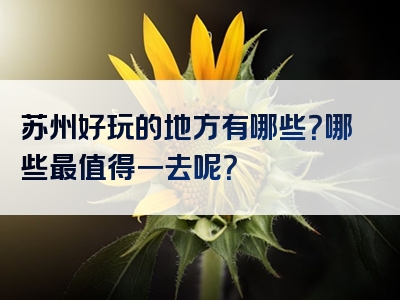 苏州好玩的地方有哪些？哪些最值得一去呢？