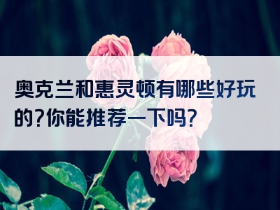奥克兰和惠灵顿有哪些好玩的？你能推荐一下吗？